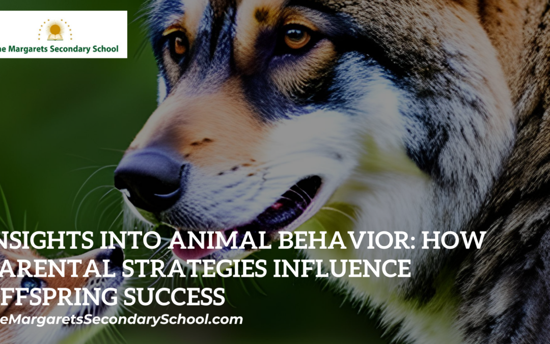 Animal Behavior and Offspring Success
