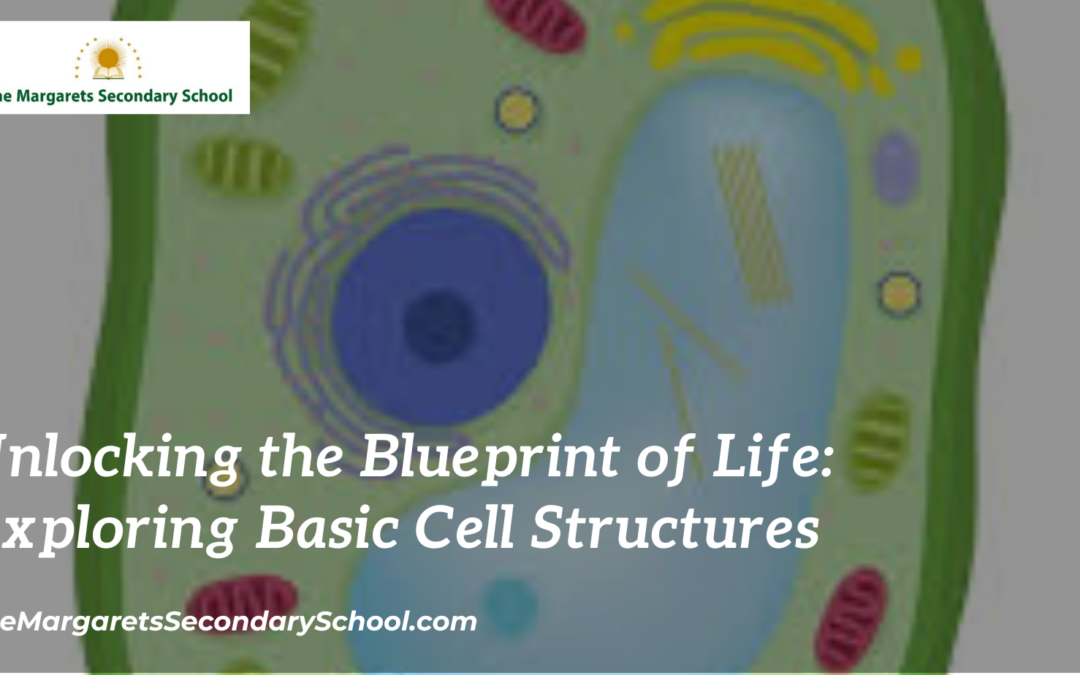 Unlocking the Blueprint of Life: Exploring Basic Cell Structures