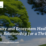 Biodiversity and Ecosystem Health: A Symbiotic Relationship for a Thriving Planet