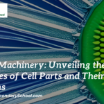 Cellular Machinery: Unveiling the Intricacies of Cell Parts and Their Functions