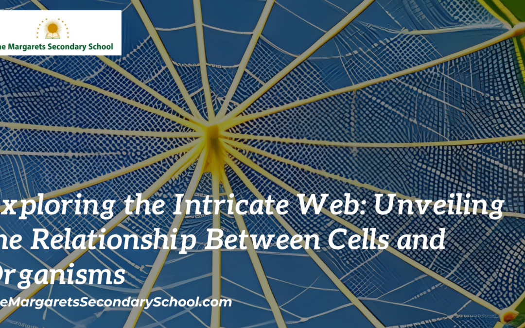 Exploring the Intricate Web: Unveiling the Relationship Between Cells and Organisms