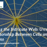 Exploring the Intricate Web: Unveiling the Relationship Between Cells and Organisms