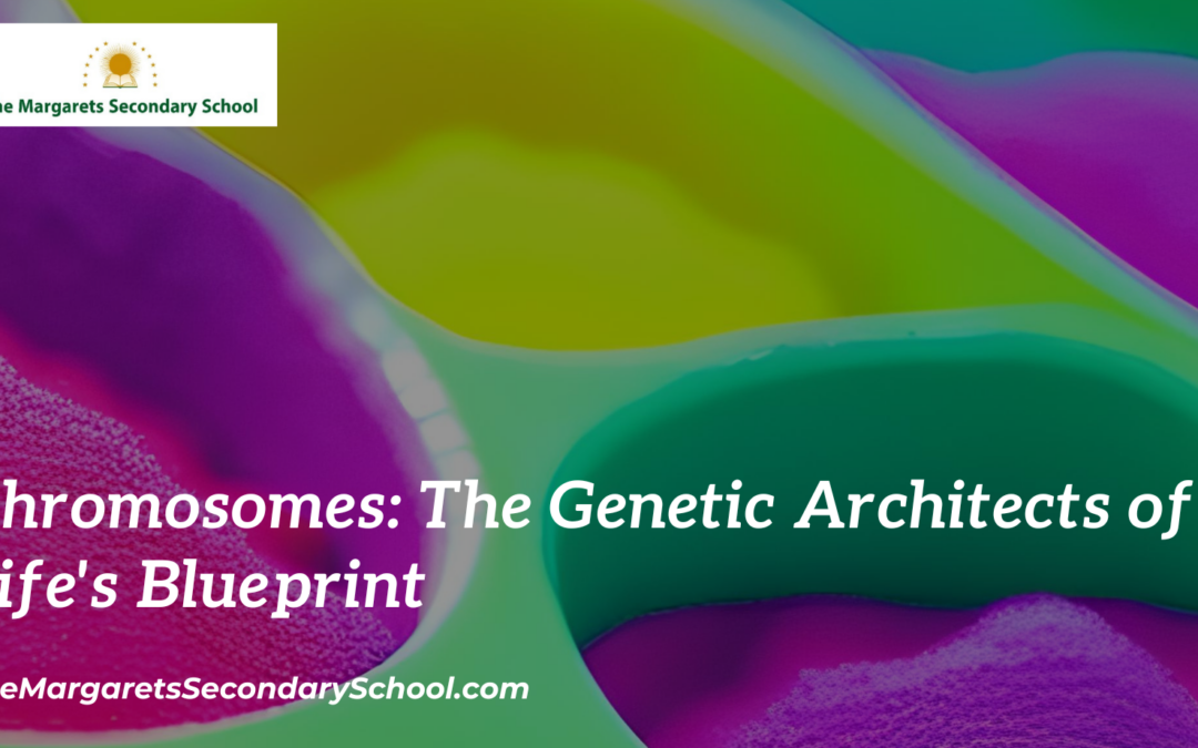 Chromosomes: The Genetic Architects of Life's Blueprint