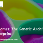 Chromosomes: The Genetic Architects of Life's Blueprint