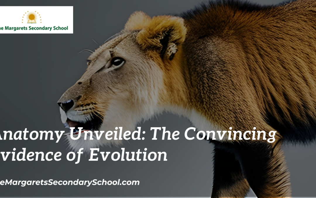 Anatomy Unveiled: The Convincing Evidence of Evolution