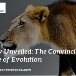 Anatomy Unveiled: The Convincing Evidence of Evolution