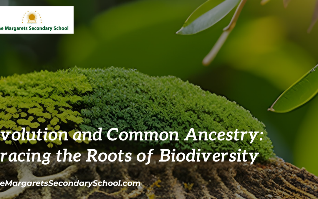 Evolution and Common Ancestry: Tracing the Roots of Biodiversity