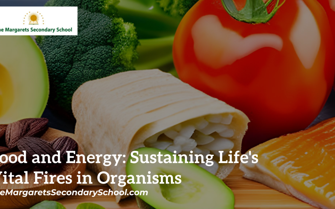 Food and Energy: Sustaining Life's Vital Fires in Organisms