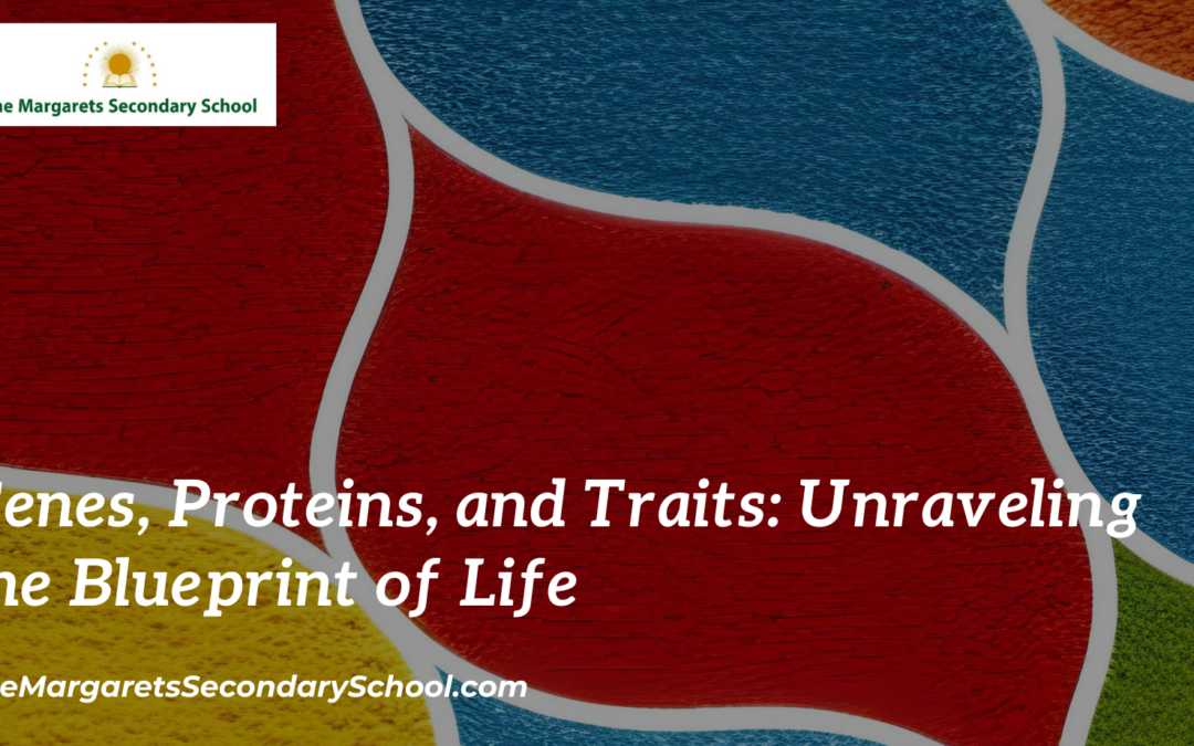 Genes, Proteins, and Traits: Unraveling the Blueprint of Life