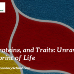 Genes, Proteins, and Traits: Unraveling the Blueprint of Life
