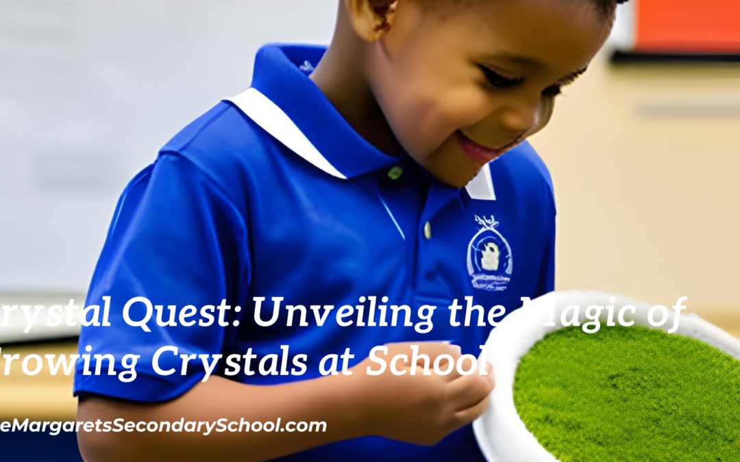 Crystal Quest: Unveiling the Magic of Growing Crystals at School