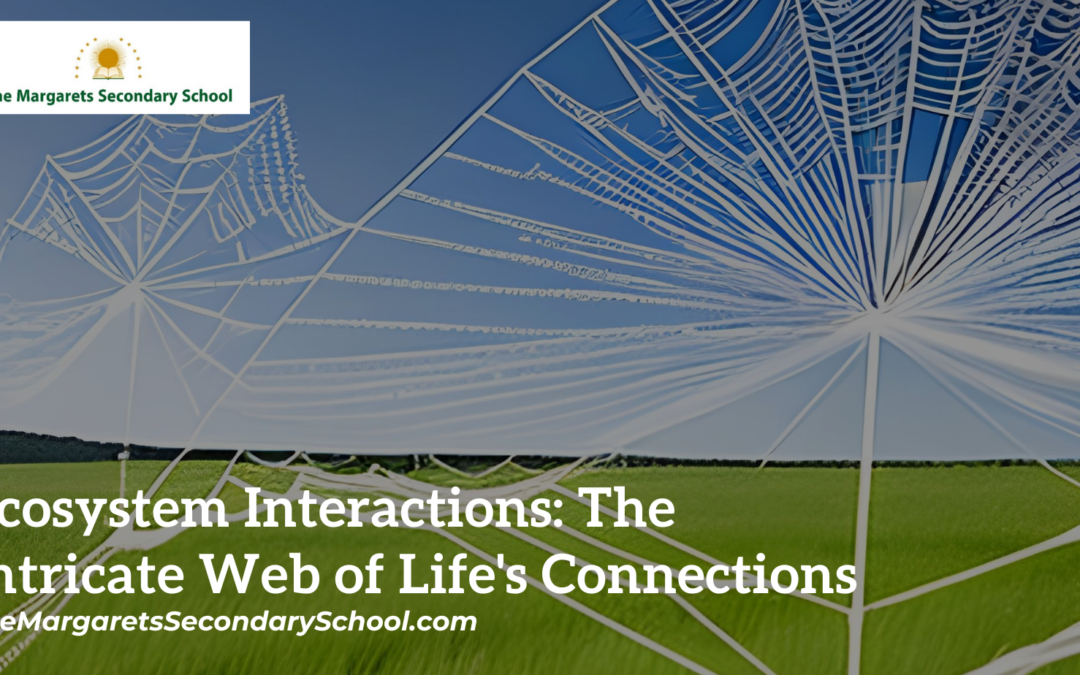 Interactions in Ecosystems