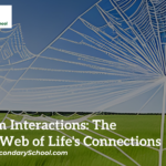 Interactions in Ecosystems