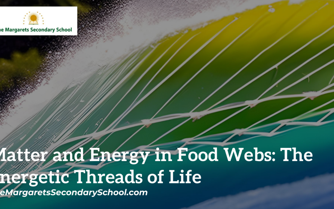 Matter and Energy in Foodwebs
