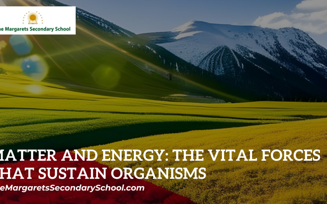 Matter and Energy: The Vital Forces that Sustain Organisms