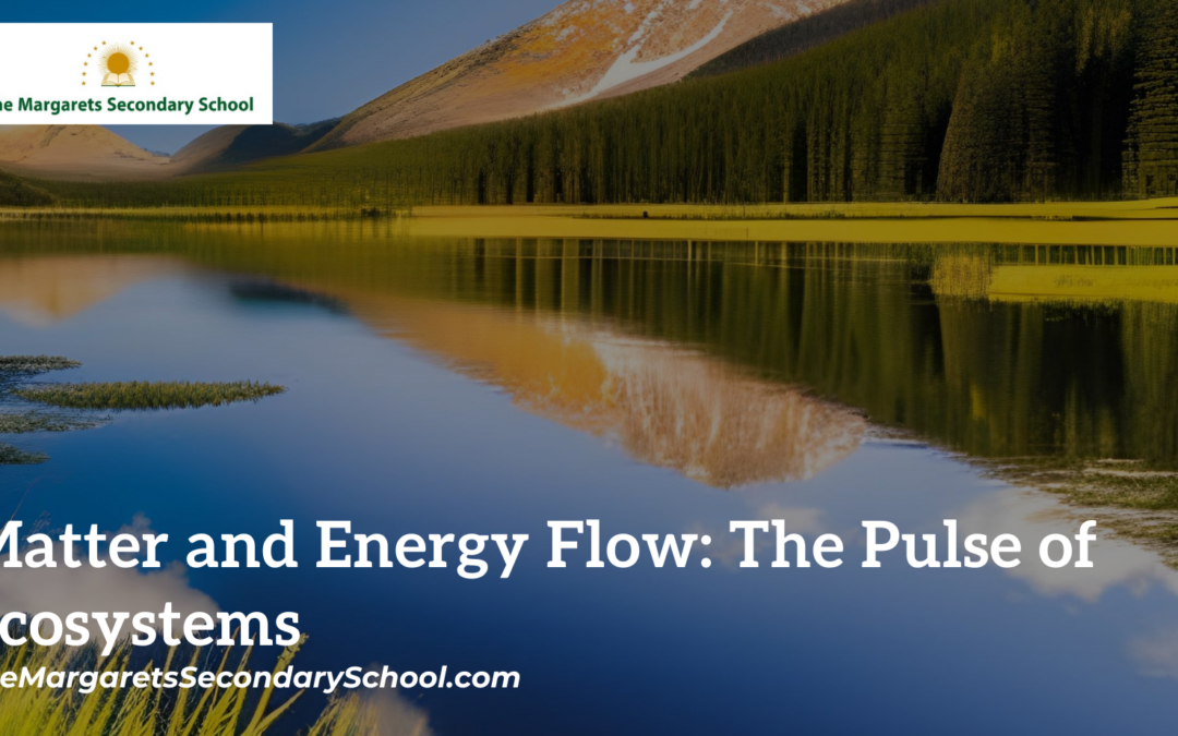 Matter and energy in ecosystems