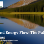 Matter and energy in ecosystems