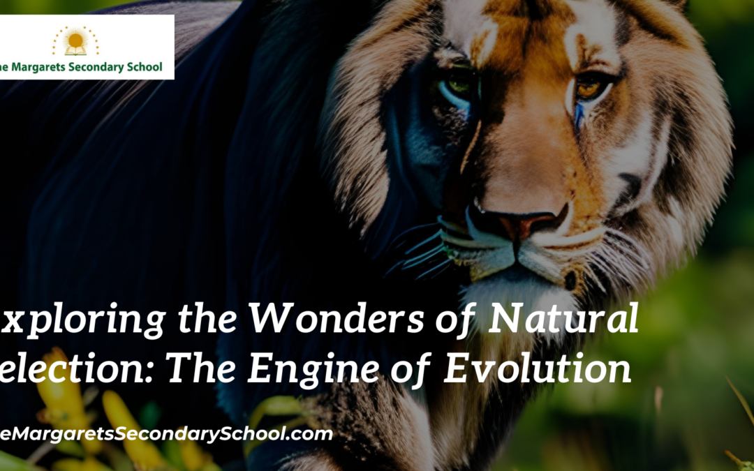 Exploring the Wonders of Natural Selection: The Engine of Evolution