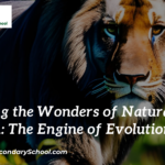 Exploring the Wonders of Natural Selection: The Engine of Evolution