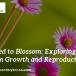From Seed to Blossom: Exploring Organism Growth and Reproduction