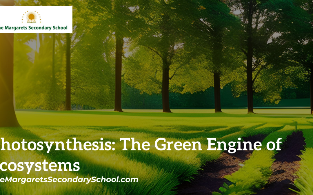Photosynthesis: The Green Engine of Ecosystems