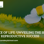 Plant Reproductive Success