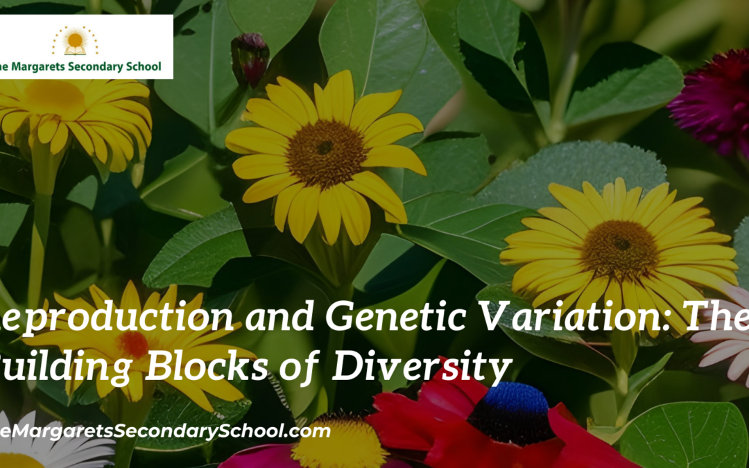 Reproduction and Genetic Variation: The Building Blocks of Diversity