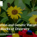 Reproduction and Genetic Variation: The Building Blocks of Diversity