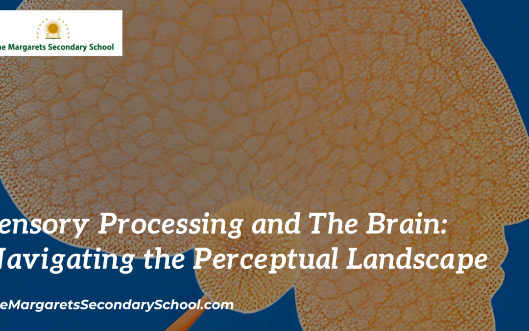 Sensory Processing and The Brain: Navigating the Perceptual Landscape