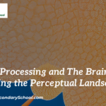 Sensory Processing and The Brain: Navigating the Perceptual Landscape