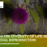 Sexual and Asexual Reproduction