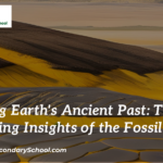 Unveiling Earth's Ancient Past: The Fascinating Insights of the Fossil Record