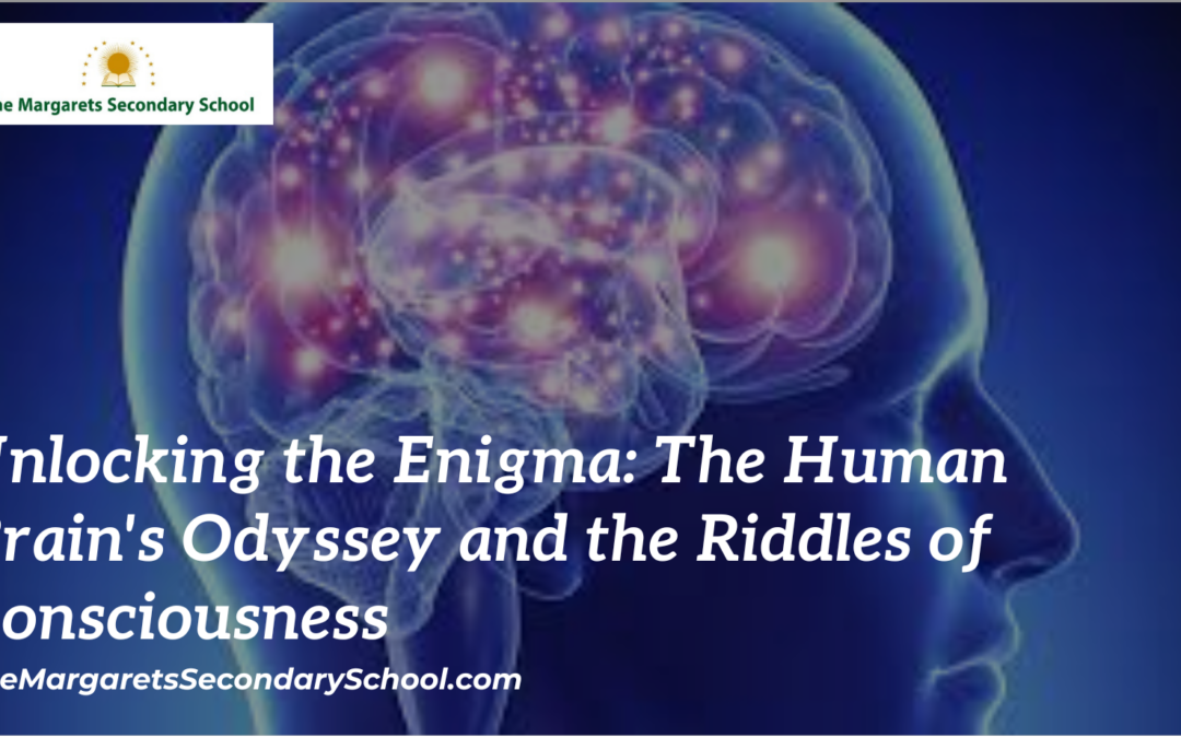 Unlocking the Enigma: The Human Brain's Odyssey and the Riddles of Consciousness