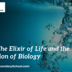 Water: The Elixir of Life and the Foundation of Biology