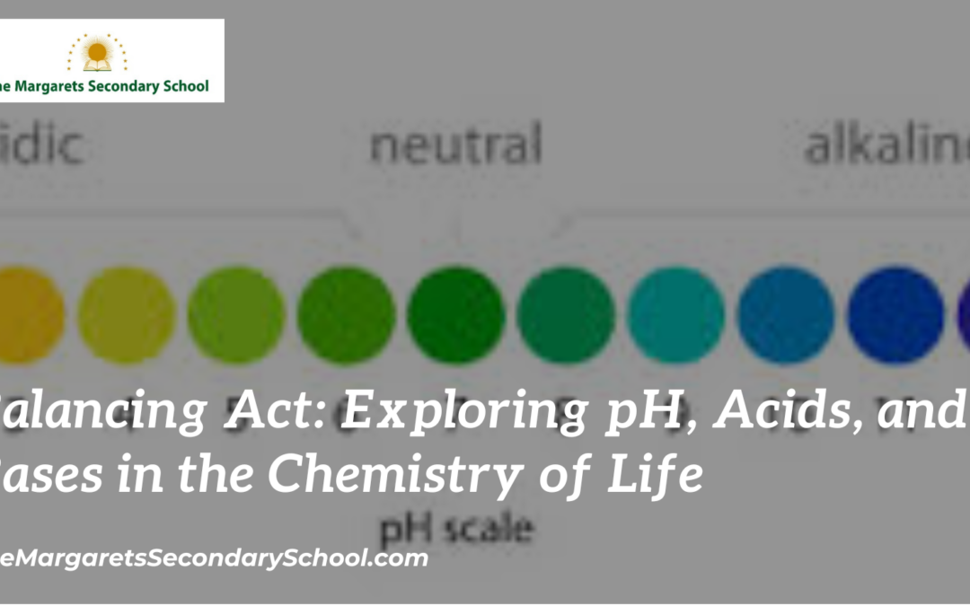 Balancing Act: Exploring pH, Acids, and Bases in the Chemistry of Life