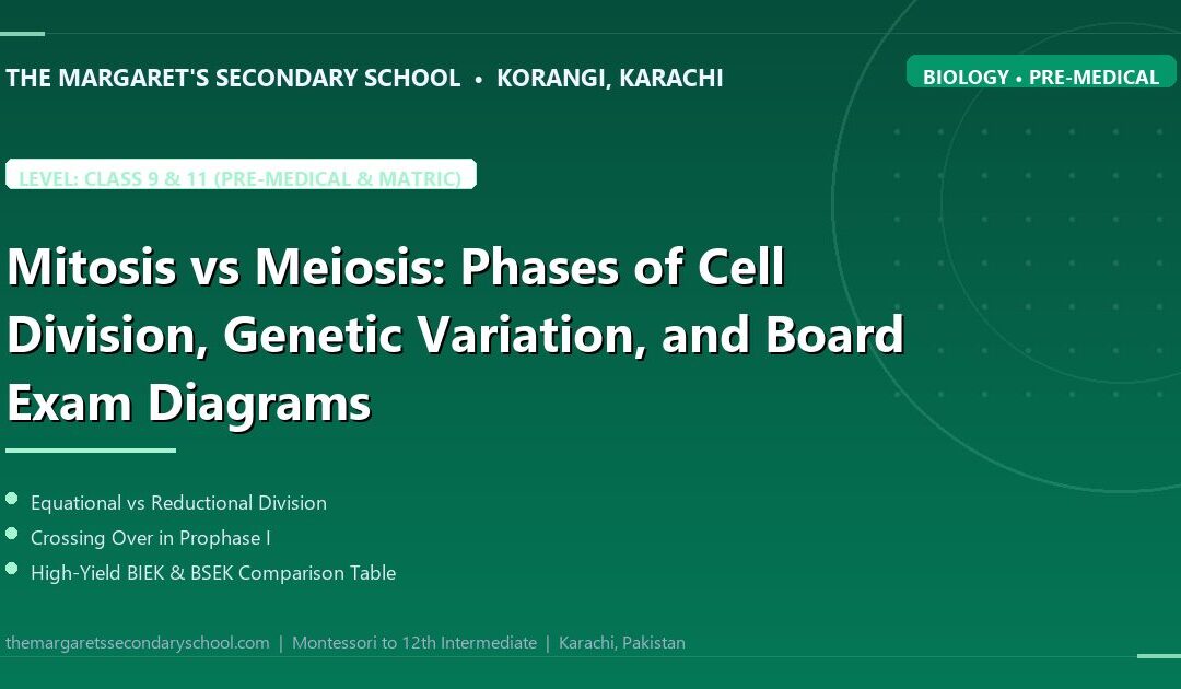 Mitosis vs Meiosis: Phases of Cell Division, Genetic Variation, and Board Exam Diagrams - The Margaret's Secondary School