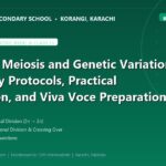 Mitosis vs Meiosis and Genetic Variation: Laboratory Protocols, Practical Verification, and Viva Voce Preparation - The Margaret's Secondary School