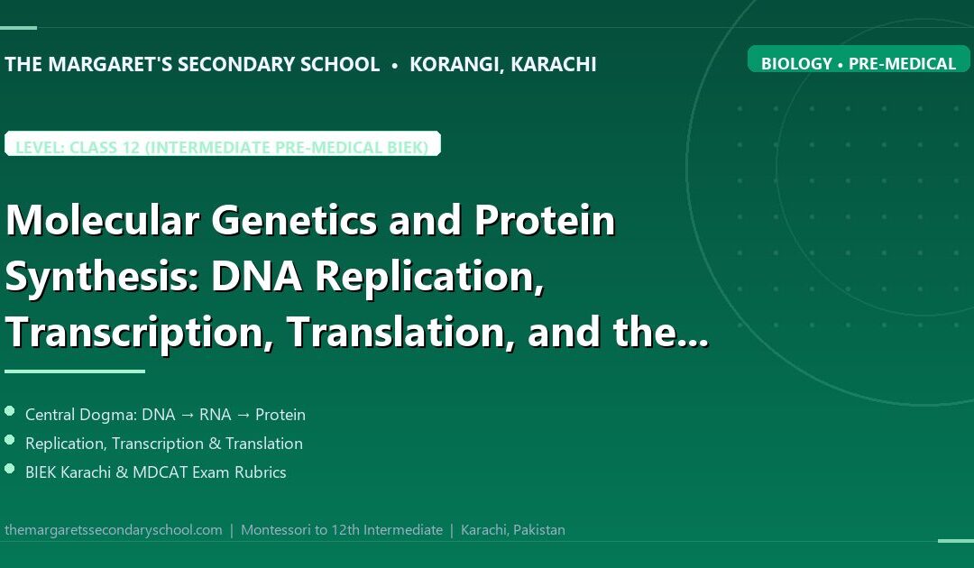 Molecular Genetics and Protein Synthesis: DNA Replication, Transcription, Translation, and the Genetic Code for Karachi Board (BIEK & MDCAT) Examinations
