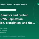 Molecular Genetics and Protein Synthesis: DNA Replication, Transcription, Translation, and the Genetic Code for Karachi Board (BIEK & MDCAT) Examinations - The Margaret's Secondary School