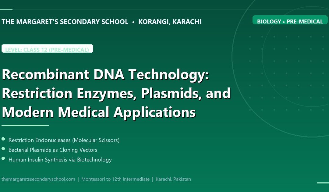 Recombinant DNA Technology: Restriction Enzymes, Plasmids, and Modern Medical Applications - The Margaret's Secondary School