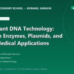 Recombinant DNA Technology: Restriction Enzymes, Plasmids, and Modern Medical Applications - The Margaret's Secondary School