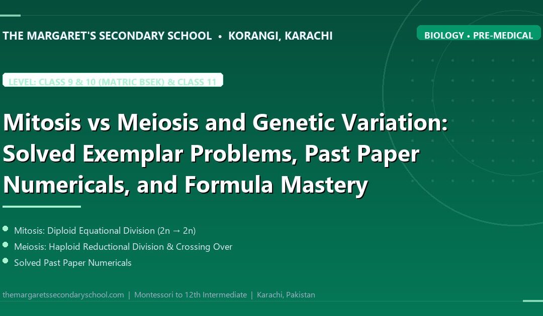 Mitosis vs Meiosis and Genetic Variation: Solved Exemplar Problems, Past Paper Numericals, and Formula Mastery - The Margaret's Secondary School