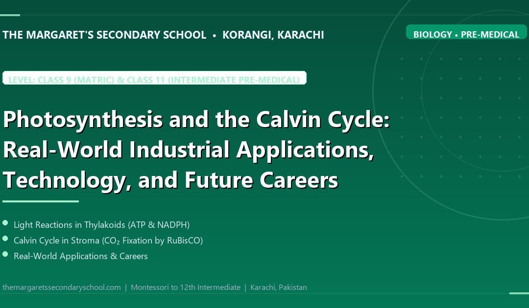 Photosynthesis and the Calvin Cycle: Real-World Industrial Applications, Technology, and Future Careers - The Margaret's Secondary School