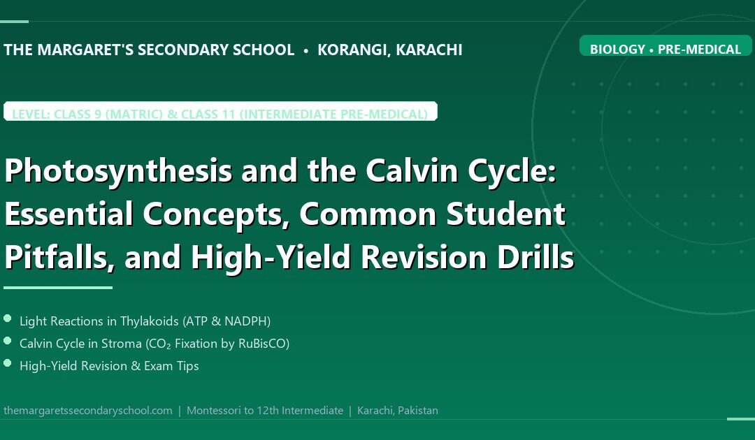 Photosynthesis and the Calvin Cycle: Essential Concepts, Common Student Pitfalls, and High-Yield Revision Drills - The Margaret's Secondary School