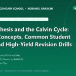 Photosynthesis and the Calvin Cycle: Essential Concepts, Common Student Pitfalls, and High-Yield Revision Drills - The Margaret's Secondary School