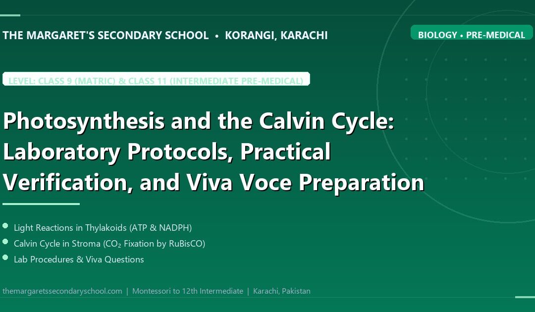 Photosynthesis and the Calvin Cycle: Laboratory Protocols, Practical Verification, and Viva Voce Preparation - The Margaret's Secondary School